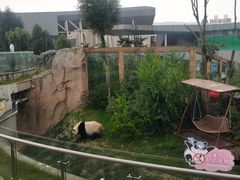 -青藏高原野生动物园