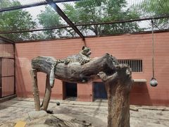 -青藏高原野生动物园