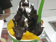 -Salud撒露欧洲冻酸奶(蓝色港湾店)