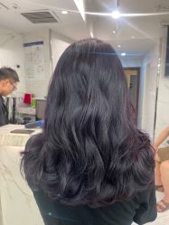 -潘多拉Hairsalon