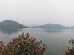 -千岛湖东南湖区