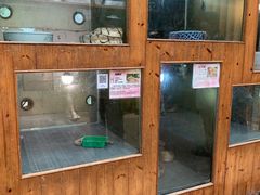 -上海大自然野生昆虫馆(东方明珠·爬宠昆虫探索中心)