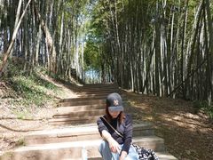 -西湖风景区十里琅珰-五云山