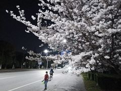 -江南大学(蠡湖校区)