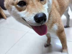 -鑫巴蜀小镇 · 水煮鱼专研店(玉桥店)