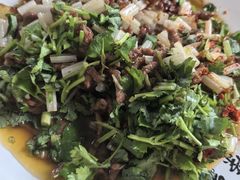 -荣生萝卜汤饭店