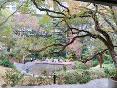 -香港大学