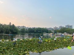 -新江湾城公园