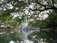 -鹿亭中村