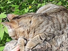 -终南山南五台景区