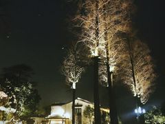 -杭州西湖柳莺里酒店