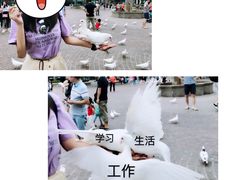 -东部华侨城