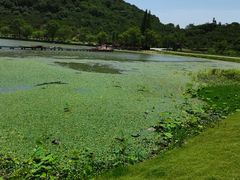 -南北湖风景区