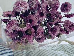 -安徽省第二人民医院(主院区)