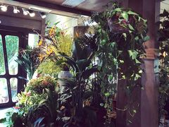 -春暖花开(西溪店)