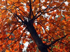 -香山公园-东宫门售票处