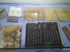 -上海昆虫博物馆