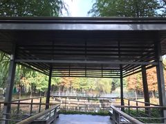 -尚贤河湿地