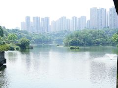 -重庆彩云湖湿地公园