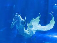 -华夏文旅海洋公园