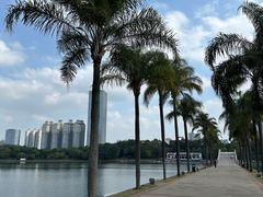 -南宁南湖公园
