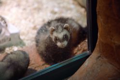 -酷嗒动物文化乐园(cutezoo西溪乐天城店)