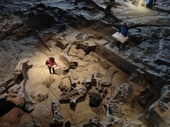 -自贡恐龙博物馆