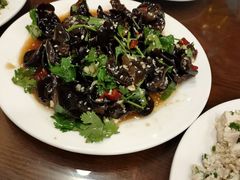 -老王头饺子(孟家店)