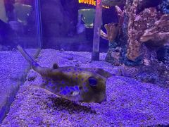 -太平洋海底世界