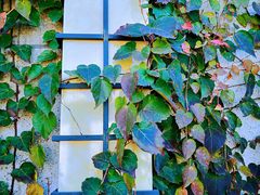 -天津东丽湖风景区