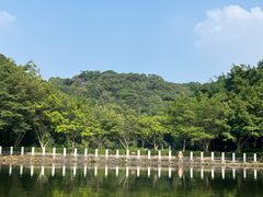 -西樵山风景名胜区-天湖公园