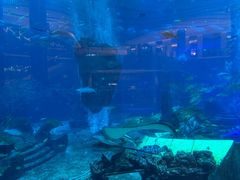 -亚特兰蒂斯•OSSIANO奥西亚诺海底餐厅