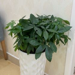 -海峡医疗美容医院