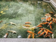 -惠食佳(滨江大公馆店)