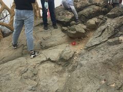 -鬼笑石后山停车场