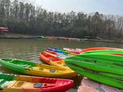 -上海海湾国家森林公园