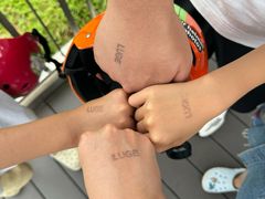 -圣淘沙天际线斜坡滑车