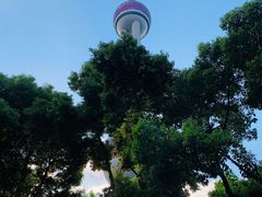 -东方明珠广播电视塔