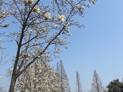 -杭州植物园