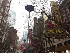 -真老大房鲜肉月饼(南京路步行街店)
