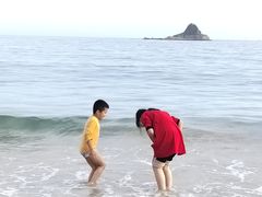 -粤菜王府·海鲜·茶市·海景餐厅(大梅沙店)