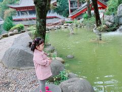 -塔云山
