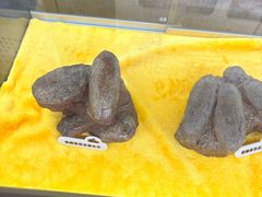-诸城市恐龙博物馆