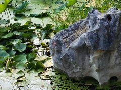 -高子水居