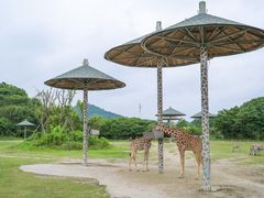 -宁波野生动物园