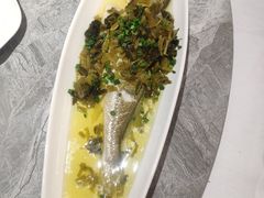 -老绍兴养和饭店(向阳不夜城店)