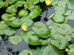 android_upload_pic-湖光岩风景区