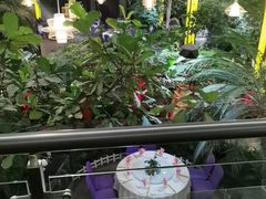 -九尊食上(生态园林酒店)