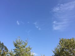 -火炉山森林公园