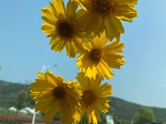 -冰川延边料理·炭烤串(原小木屋店)